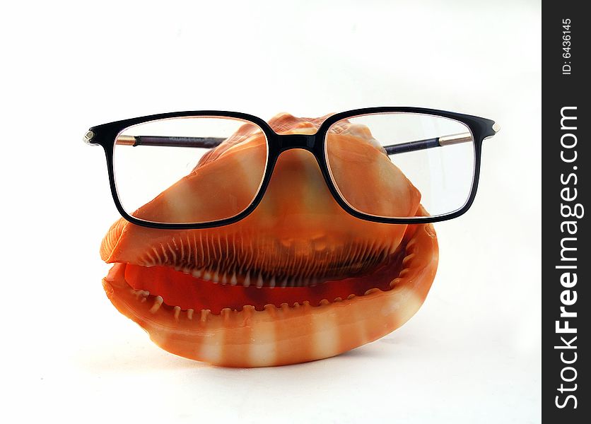 A face-like seashell in black eyeglasses. A face-like seashell in black eyeglasses