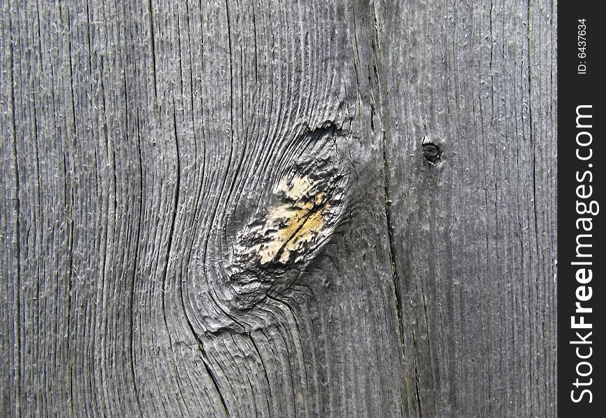 Surface of  wooden board covered by  daylight