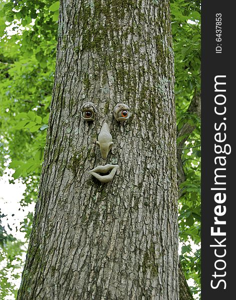 Tree in park with artificial face. Tree in park with artificial face