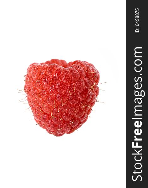 Delicious raspberry with moisture isolated on a white background. Delicious raspberry with moisture isolated on a white background