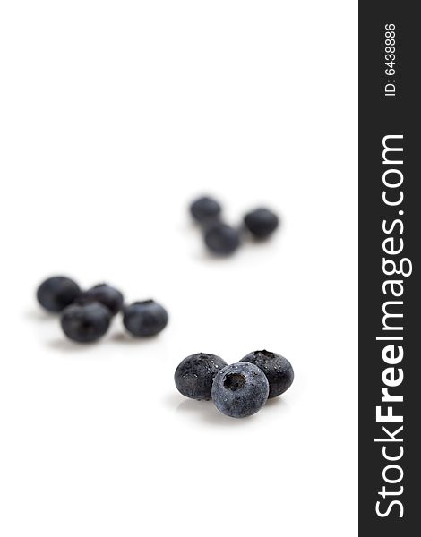 Fresh blueberries with moisture isolated on a white background