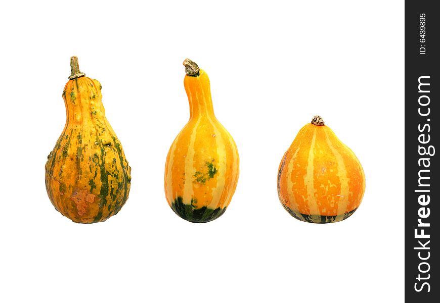 Three Pumpkins