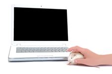 New Wireless Mouse Royalty Free Stock Image