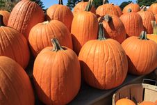 Pumpkins Royalty Free Stock Photo Pumpkins Royalty Free Stock Photo