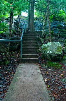 Stairway In The Woods Royalty Free Stock Photo Stairway In The Woods Royalty Free Stock Photo