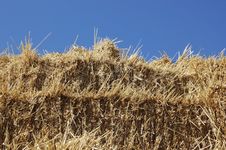 Hay Royalty Free Stock Photo Hay Royalty Free Stock Photo