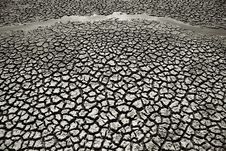 Close Up On Dry Cracked Land Stock Image