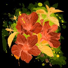 Watercolor - Hibiscus Flower Royalty Free Stock Photography