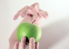 Apple In Hand Stock Photography Apple In Hand Stock Photography
