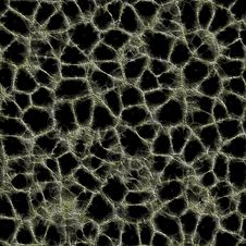 Cracks Seamless Texture Stock Image
