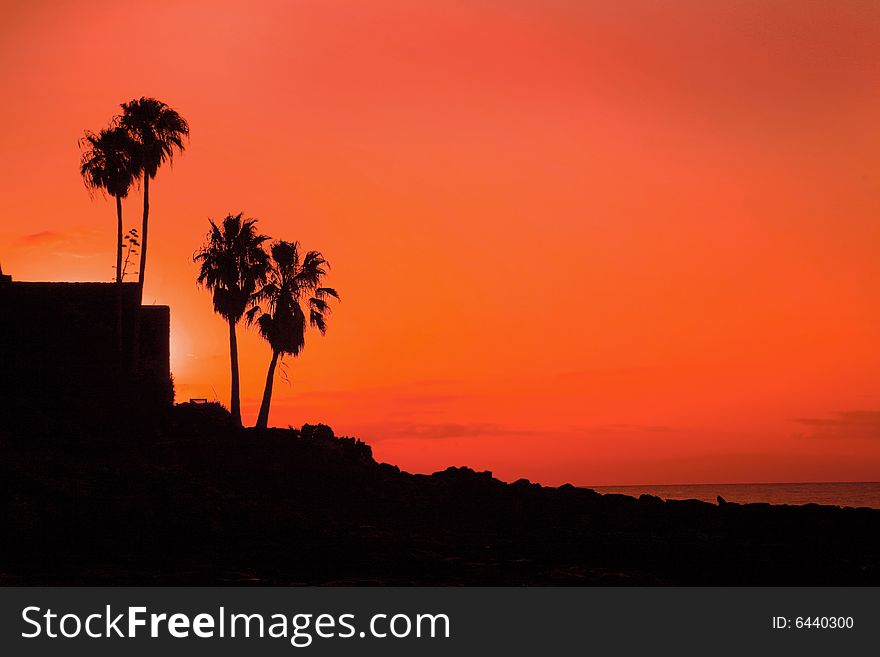 Orange sunset on tropical island with palm. Orange sunset on tropical island with palm