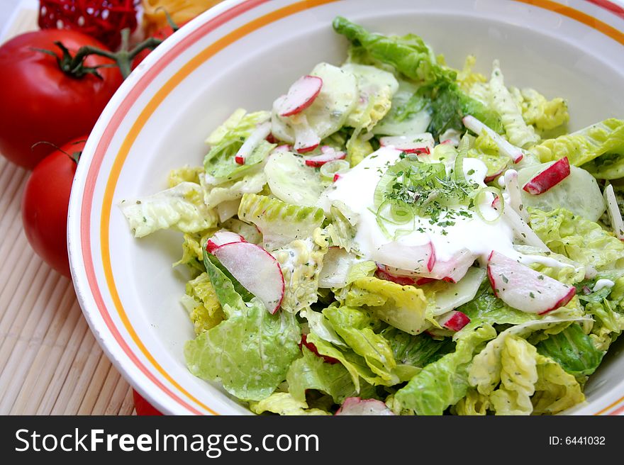 Salad of romana-salad and red radishes