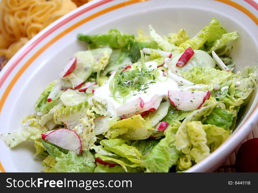 Salad of romana-salad and red radishes