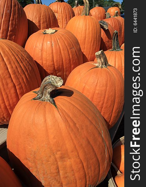 Pumpkins at a roadside farm stand