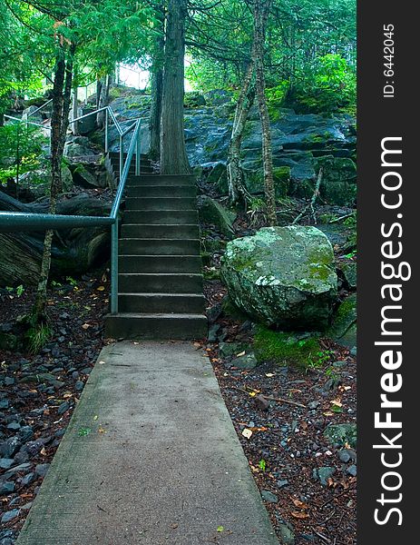 A concrete path and stairs makes it's way through the woods. A concrete path and stairs makes it's way through the woods.