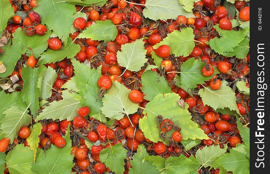 Leaves With Fruits Preserves: Blackberry.