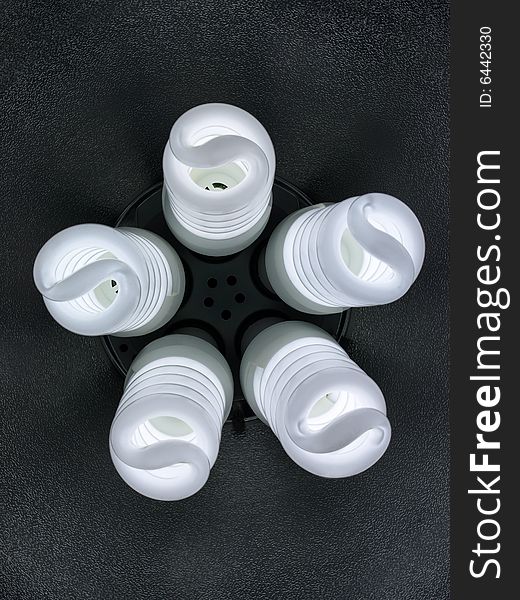 Compact Fluorescents 5 spiral bulbs front view