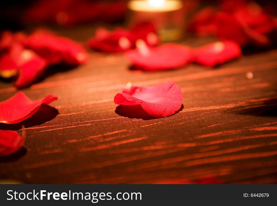 Red rose petals spread on the table for special occasion