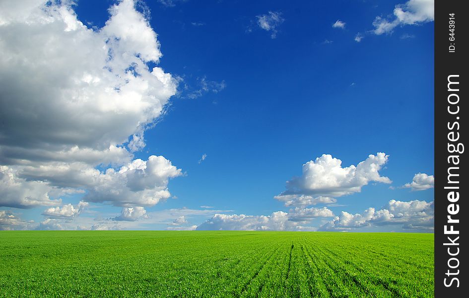 Field on a background of the blue sky