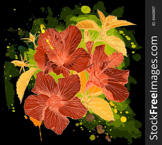 Hibiscus flower - vector watercolor paint. Elements on separate layers. Hibiscus flower - vector watercolor paint. Elements on separate layers