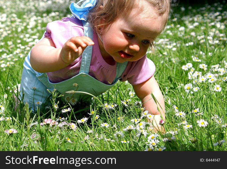 Baby girl and the beauty white daisy. Baby girl and the beauty white daisy