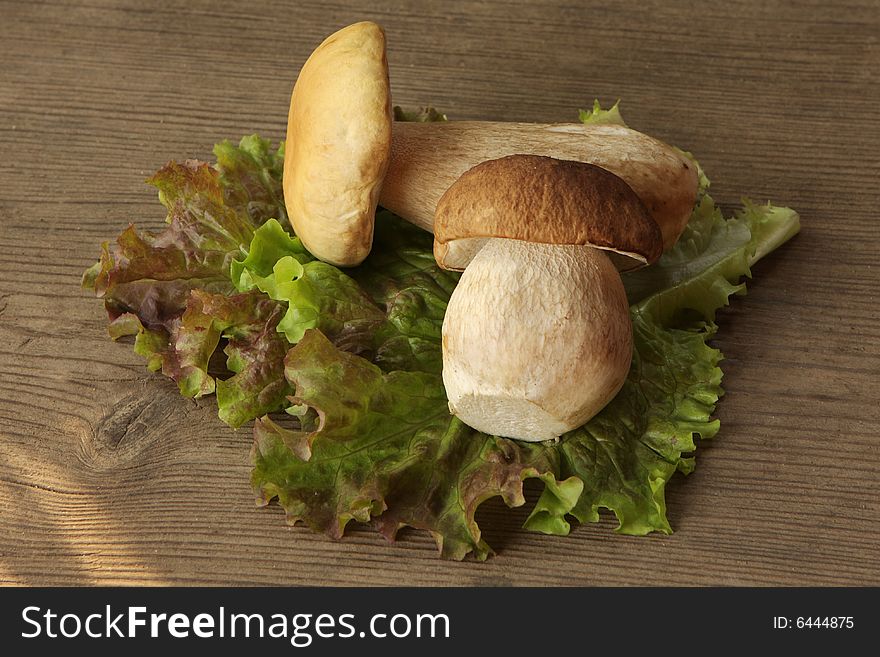 Mushrooms and lettuce on wooden background
