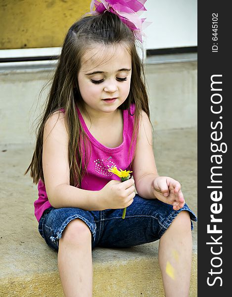 He loves me, he loves me not. Little girl pulling pedals from a flower.