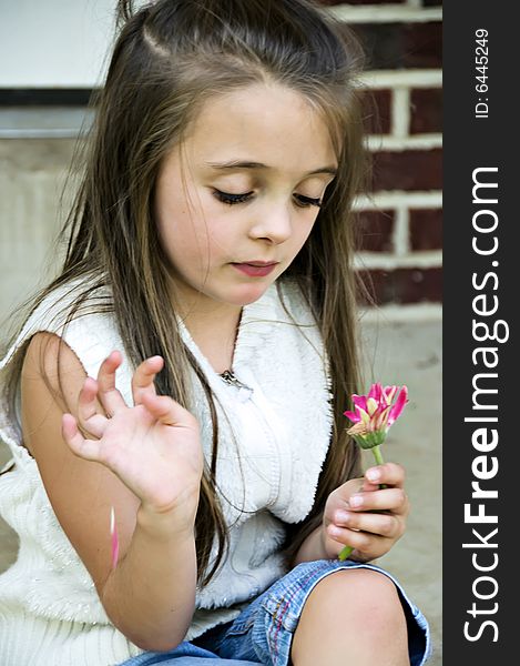 Little girl plucking pedals from a flower. Little girl plucking pedals from a flower