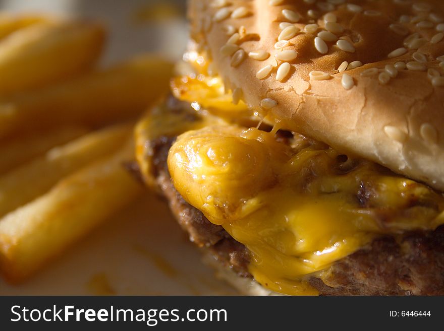 Burger and fries