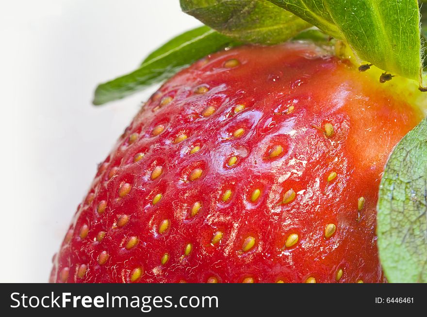 Partial strawberry in close up. Partial strawberry in close up