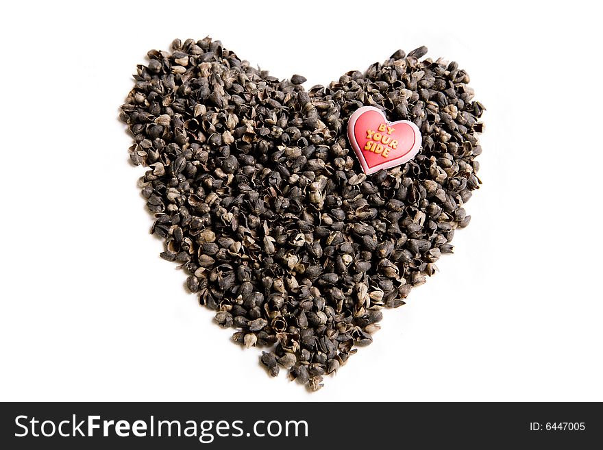 Love symbol made of seeds. Love symbol made of seeds