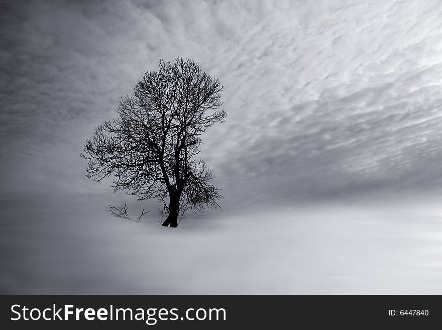 Tree in winter landscape - image editing. Tree in winter landscape - image editing
