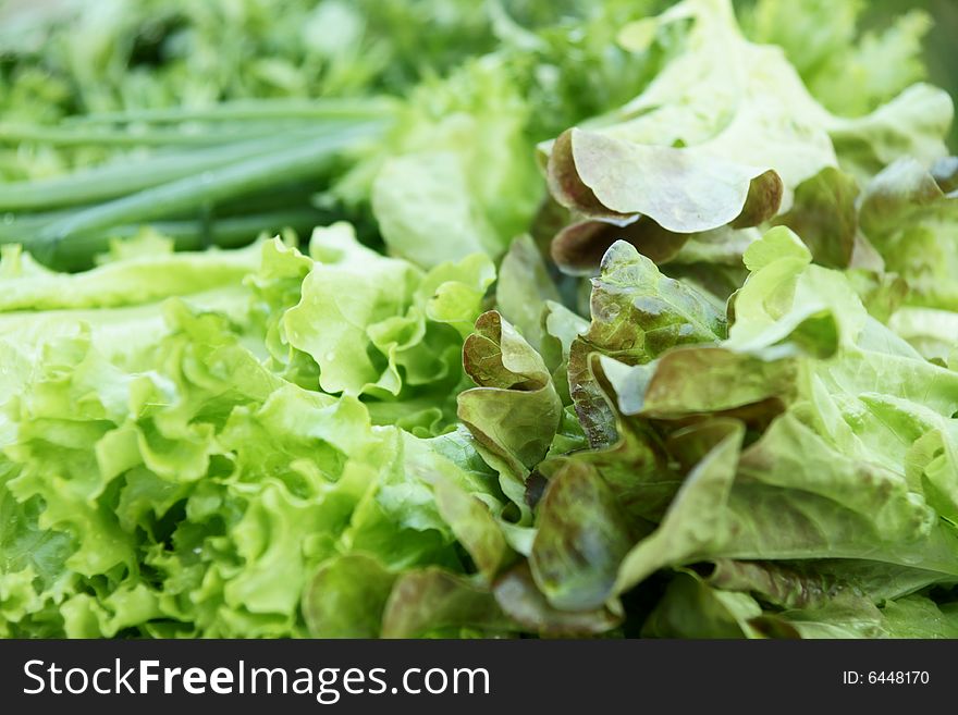 Greengrocery assortment with  salad leaves, parsley, spring onions. Greengrocery assortment with  salad leaves, parsley, spring onions