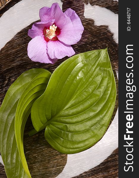 Decorated plate with leaves and purple flower