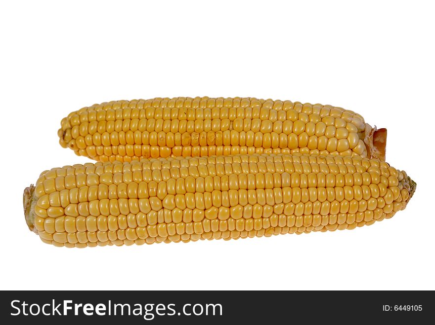 Two big corn cobs isolated on white background