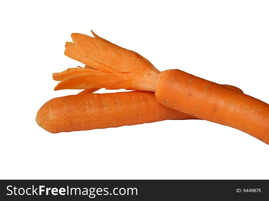 Standing carrot with leaves isolated on white background
