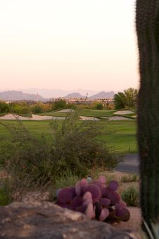 Golf Course In The Arizona Desert Royalty Free Stock Image Golf Course In The Arizona Desert Royalty Free Stock Image
