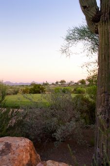 Golf Course In The Arizona Desert Royalty Free Stock Photo