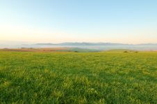 Meadow In Morning Stock Image Meadow In Morning Stock Image