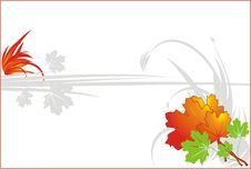 Autumn Leaves. Decorative Background For Card Royalty Free Stock Images Autumn Leaves. Decorative Background For Card Royalty Free Stock Images