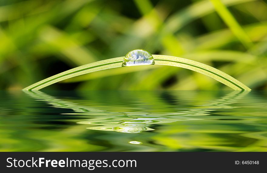 Green grass with raindrops background