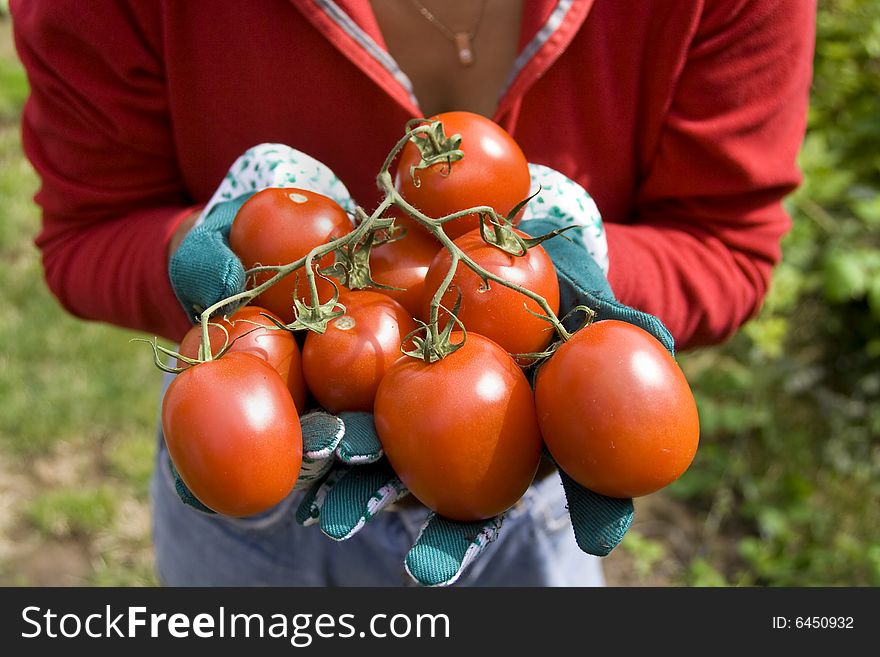 Girls Working in Her Garden