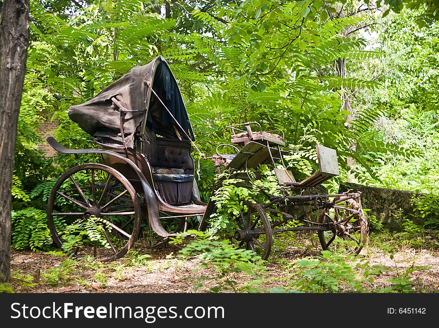 Old Carriage left in forest...