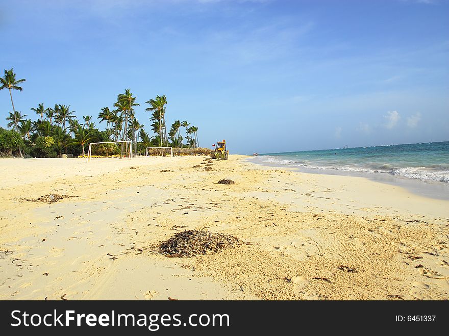 Careibas in tropical beach, where even the man clean the algae and corals of preia all manhÃ£ns with the help of machines. Careibas in tropical beach, where even the man clean the algae and corals of preia all manhÃ£ns with the help of machines