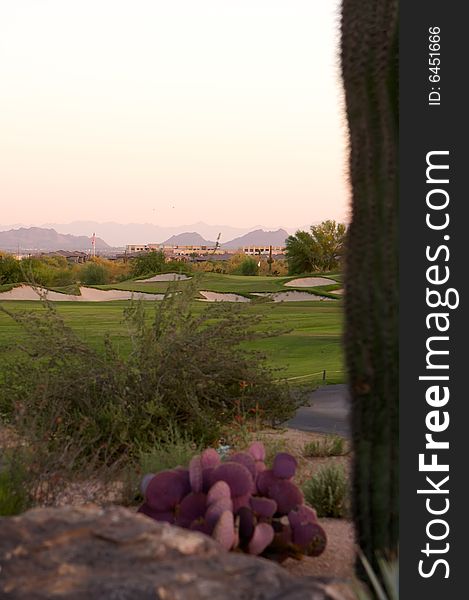 Golf course in the Arizona desert