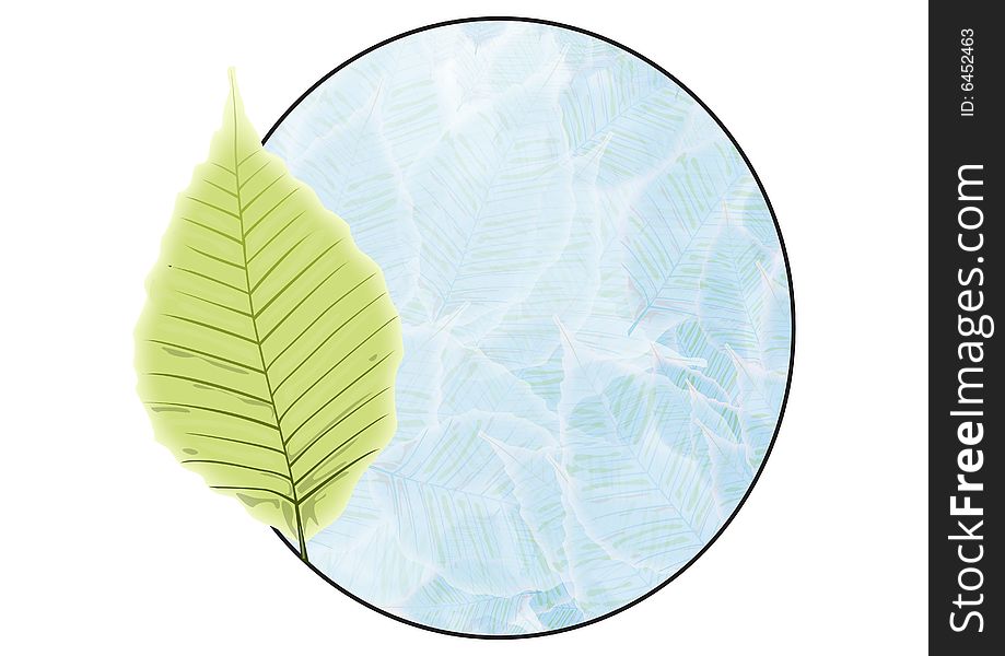 Green leaf badge in white background - best for ecological related design works,