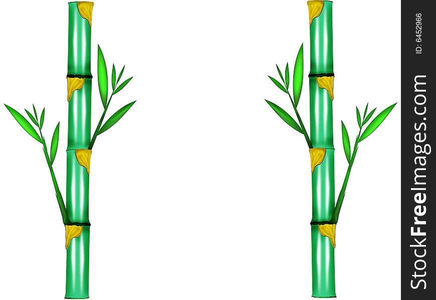 The bamboo trees and leaves designed by illustration