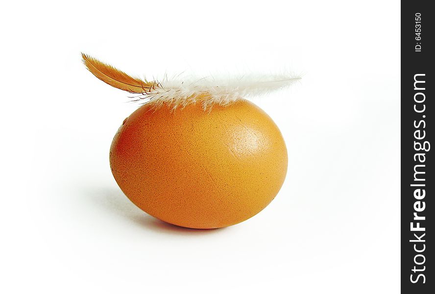 Egg and feather on white background