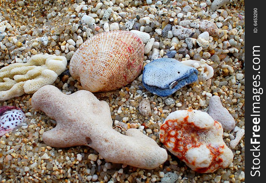 Colourful coral and pebbles on a beach in Thailand. Colourful coral and pebbles on a beach in Thailand.