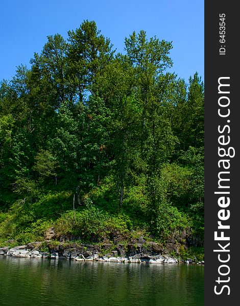 Shoreline of tha Sandy River with green trees and a clear blue sky. Shoreline of tha Sandy River with green trees and a clear blue sky